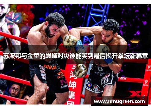 苏波邦与金童的巅峰对决谁能笑到最后揭开拳坛新篇章