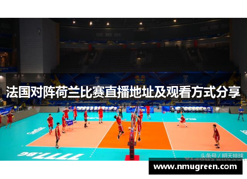 法国对阵荷兰比赛直播地址及观看方式分享